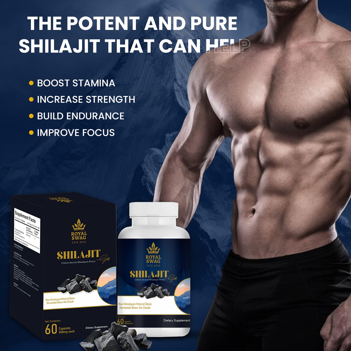 ROYAL SWAG Shilajit Capsules for Men | Hard Gelatin Shell | Stamina, Vitality, Hormonal Balance, Cognitive & Immune Support | Adaptogen & Antioxidant | 60 Capsules