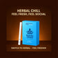 Regular and Mint Flavor Herbal Cigarettes - 20 Sticks