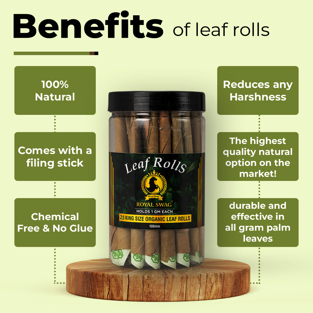 100 MM King Size Tendu Palm Leaf Rolls Ready to Use Cones Jar of 25 Pcs Pack with 1 Filling Stick