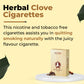 Ayurvedic Herbal Frutta + Mint + Clove Flavor Cigarettes (100*3 Sticks)